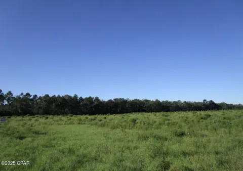 Crawfordville Highway