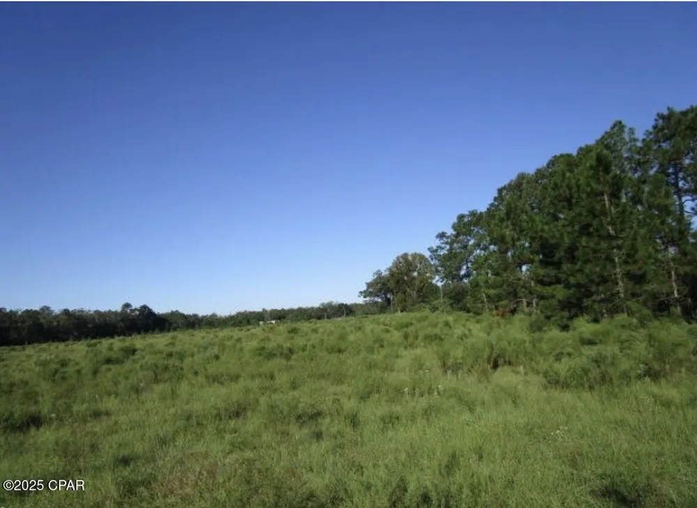 Crawfordville Highway Crawfordville, FL 32326
