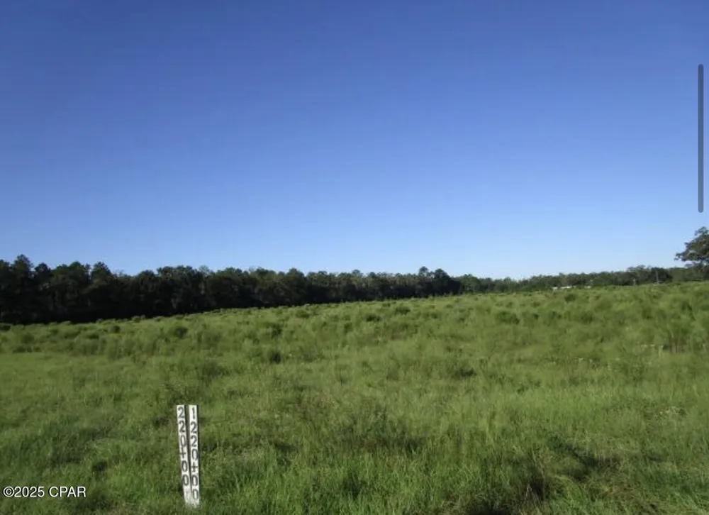 Crawfordville Highway Crawfordville, FL 32326
