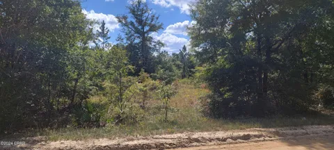 Susie Lane Drive