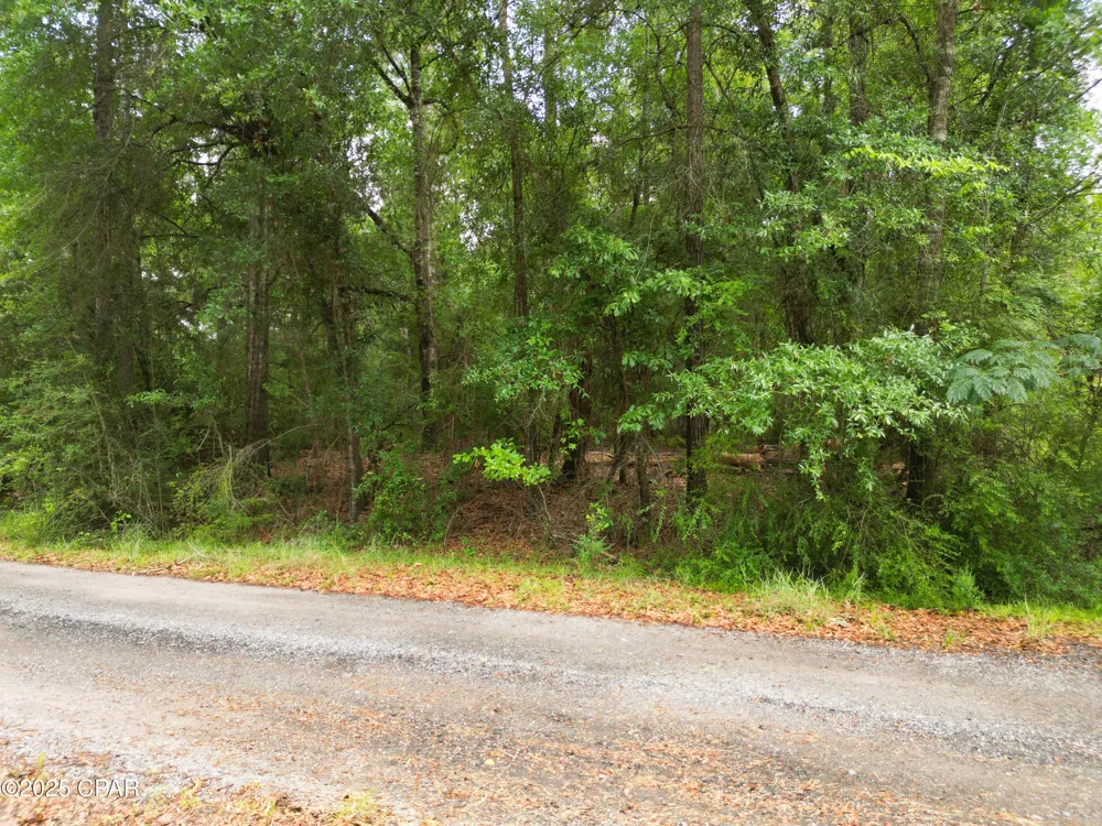 Fairway Drive Bonifay, FL 32425