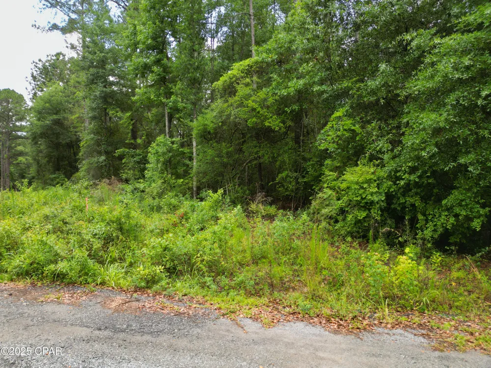 Fairway Drive Bonifay, FL 32425