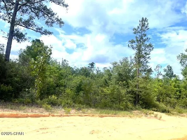 Laurel Circle Alford, FL 32420