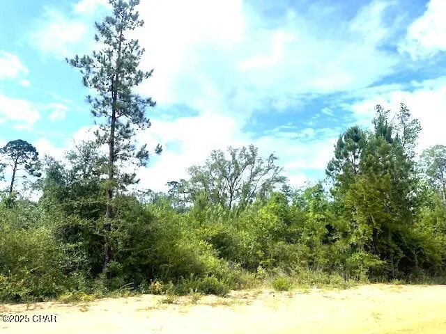 Laurel Circle Alford, FL 32420
