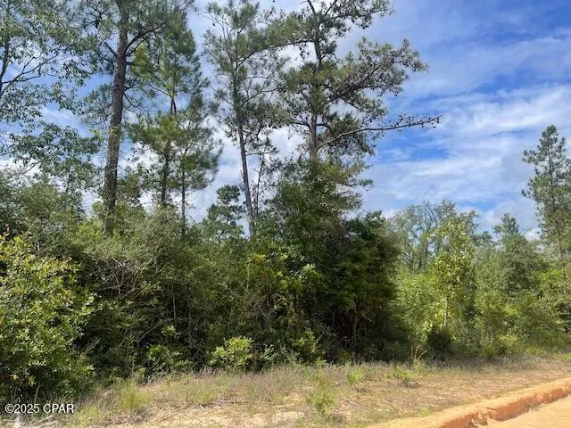 Laurel Circle Alford, FL 32420