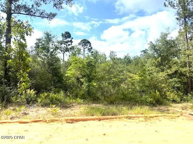 Laurel Circle Alford, FL 32420