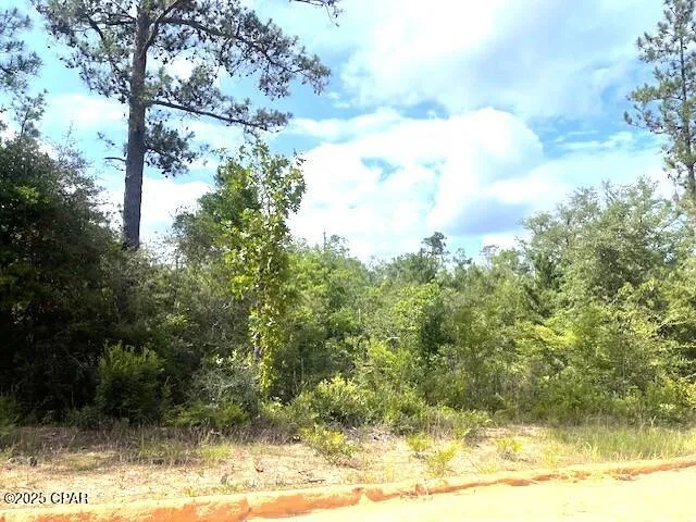 Laurel Circle Alford, FL 32420