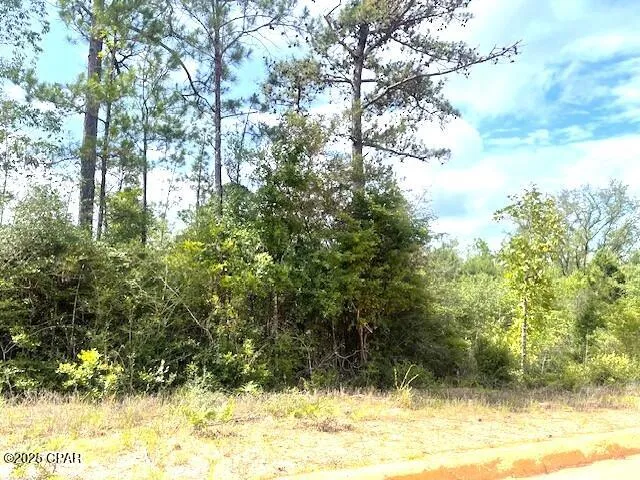 Laurel Circle Alford, FL 32420