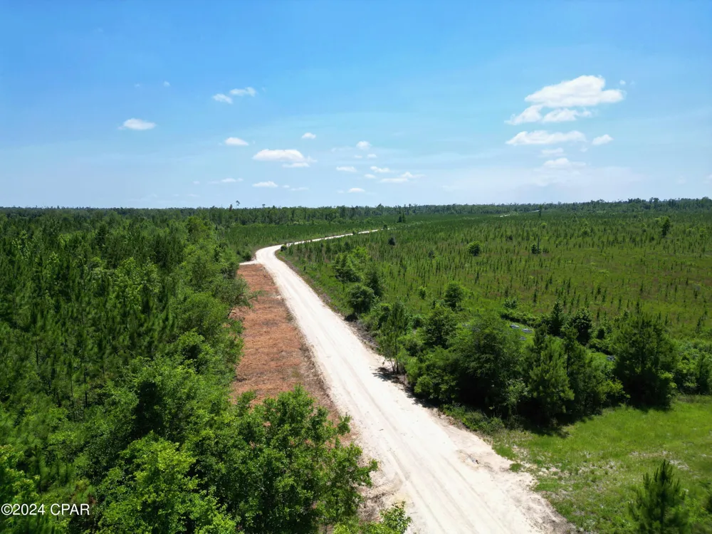 7 NW KB Jones Road Clarksville, FL 32430