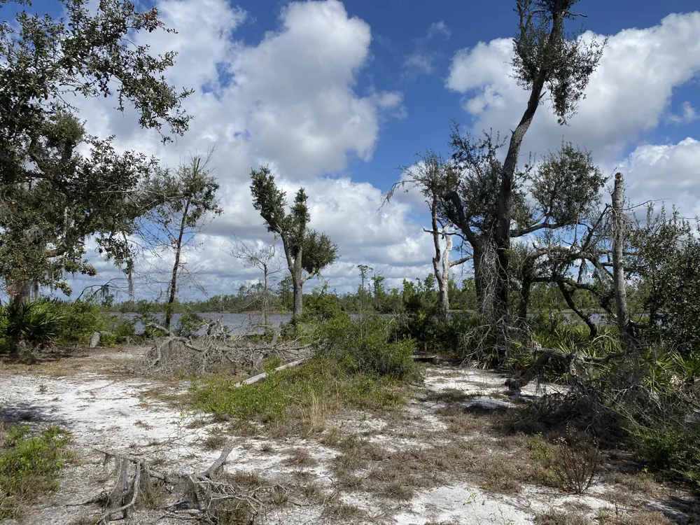 413 MEADOWVIEW TERRACE #LOT 7 Lynn Haven, FL 32444