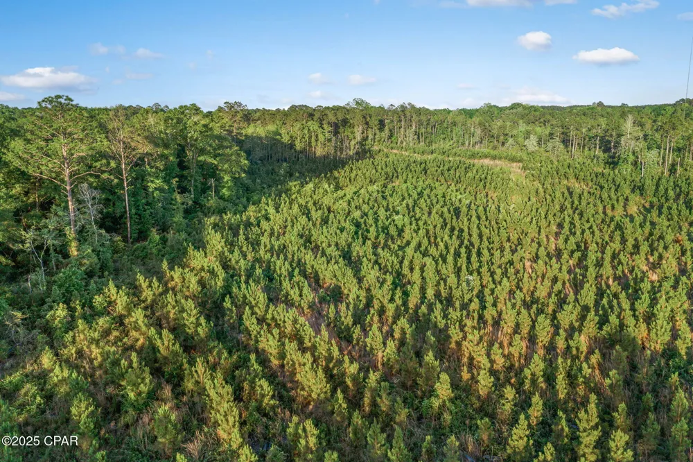 CR 177 #Lot 1 Bonifay, FL 32425