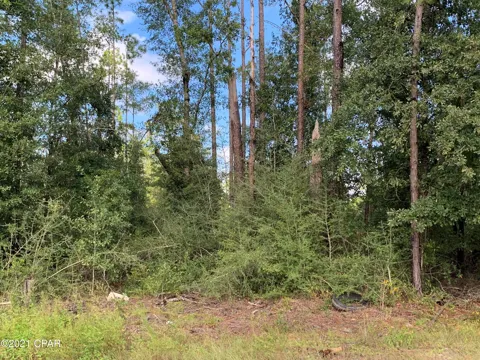 Pinecrest Road