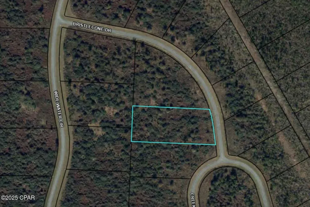 110 Bristle Cone Drive Wewahitchka, FL 32465