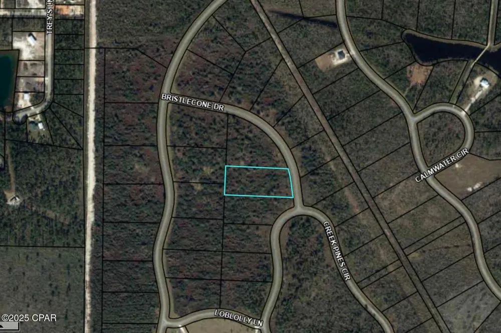 110 Bristle Cone Drive Wewahitchka, FL 32465