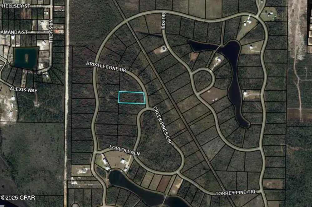110 Bristle Cone Drive Wewahitchka, FL 32465