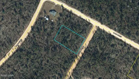 2 Catostin Avenue