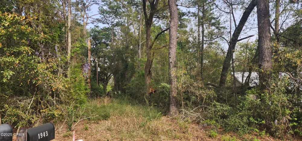 Country Club Drive Bonifay, FL 32425