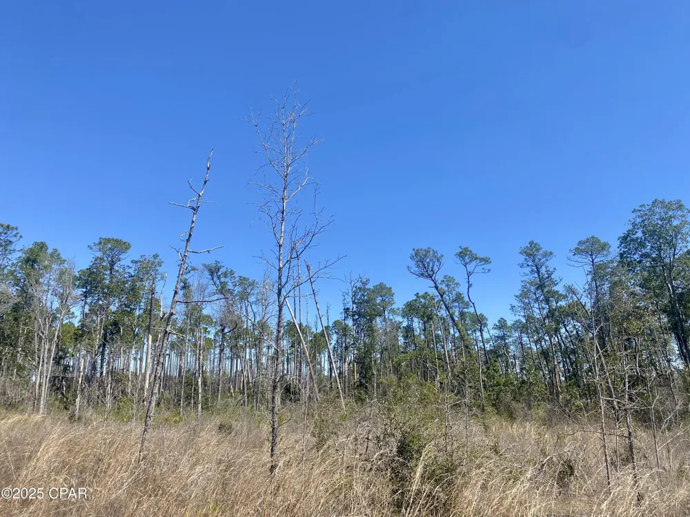 50 NW Sellers Road Bristol, FL 32321