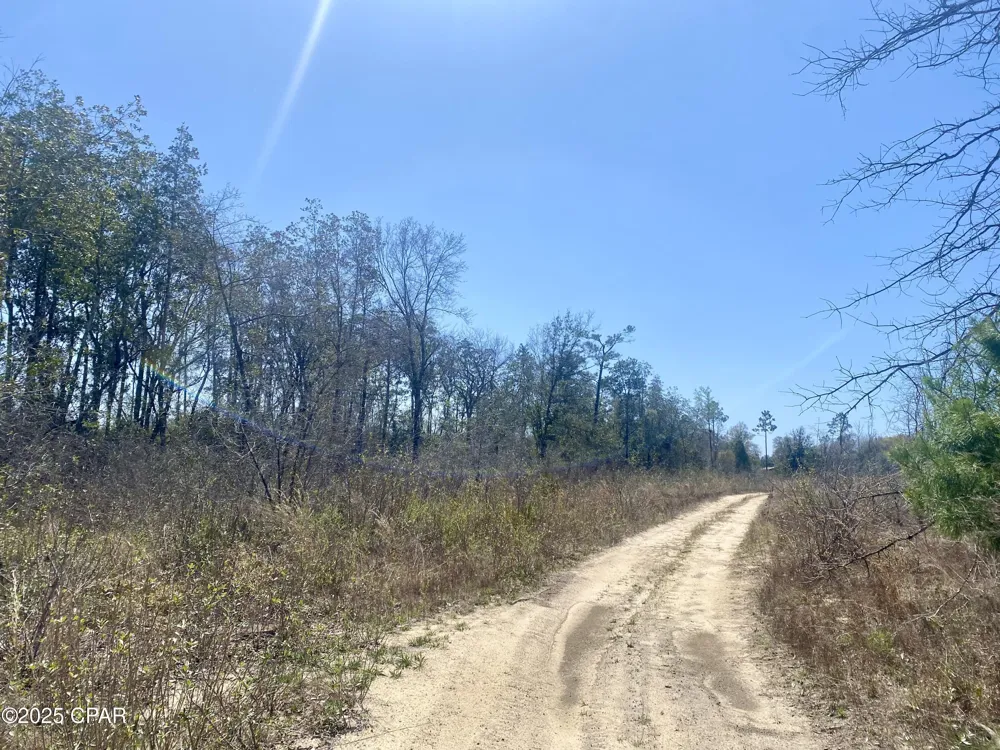 50 NW Sellers Road Bristol, FL 32321