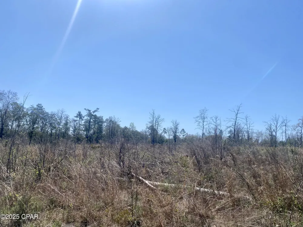 50 NW Sellers Road Bristol, FL 32321