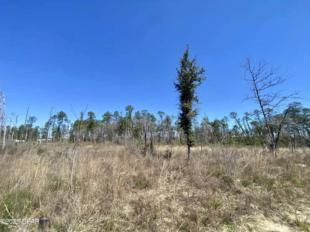 50 NW Sellers Road Bristol, FL 32321