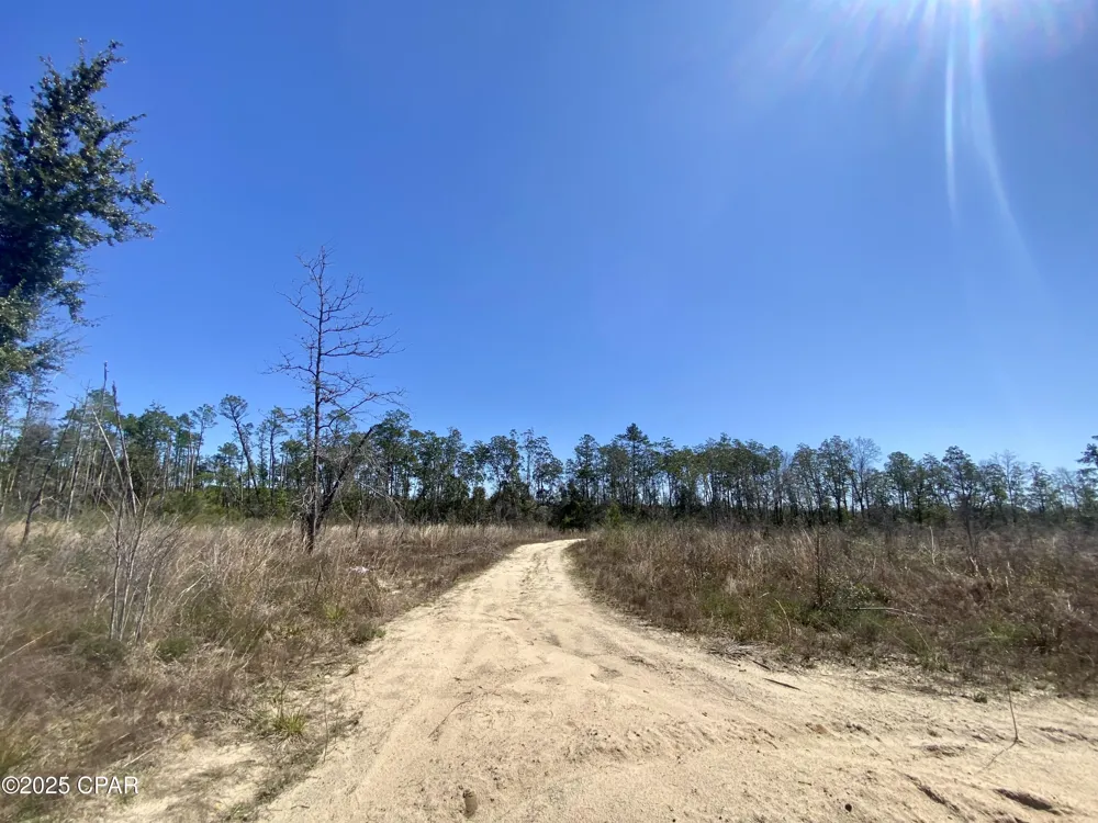 50 NW Sellers Road Bristol, FL 32321