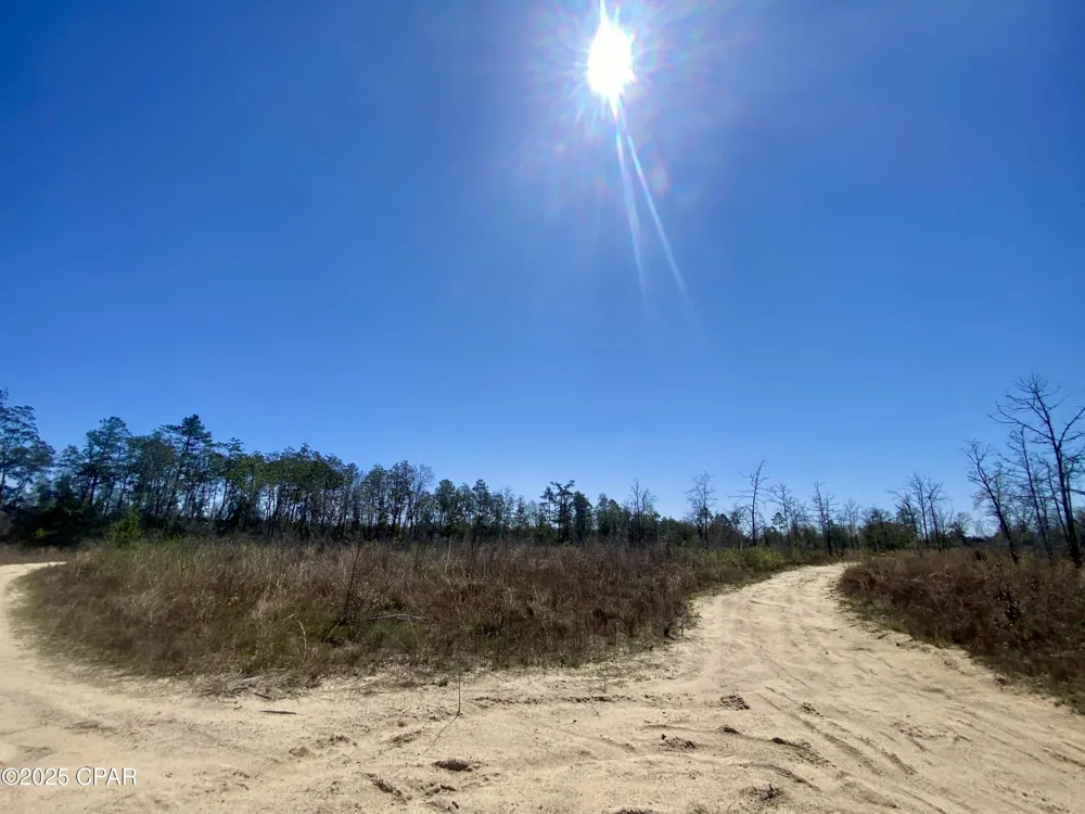 50 NW Sellers Road Bristol, FL 32321