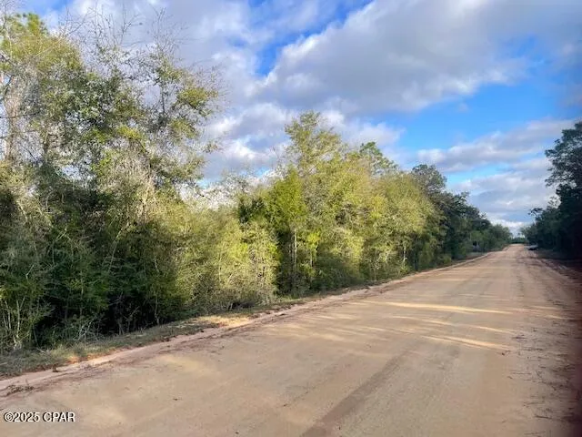 38 Dorcas Road Marianna, FL 32448
