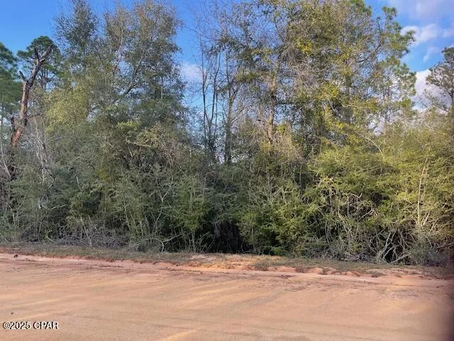 38 Dorcas Road Marianna, FL 32448
