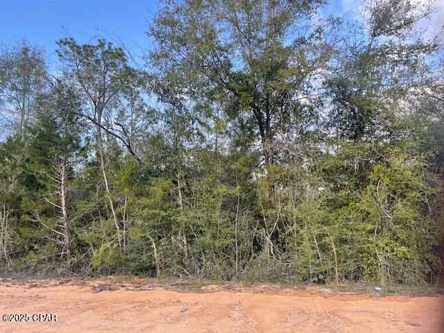38 Dorcas Road Marianna, FL 32448