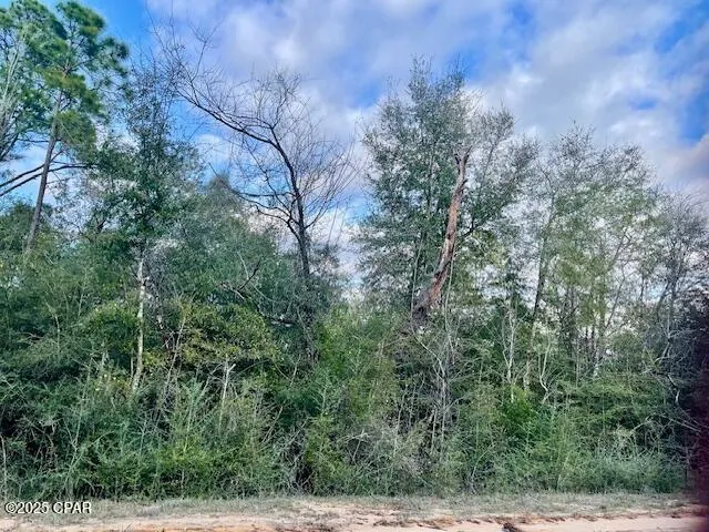 38 Dorcas Road Marianna, FL 32448