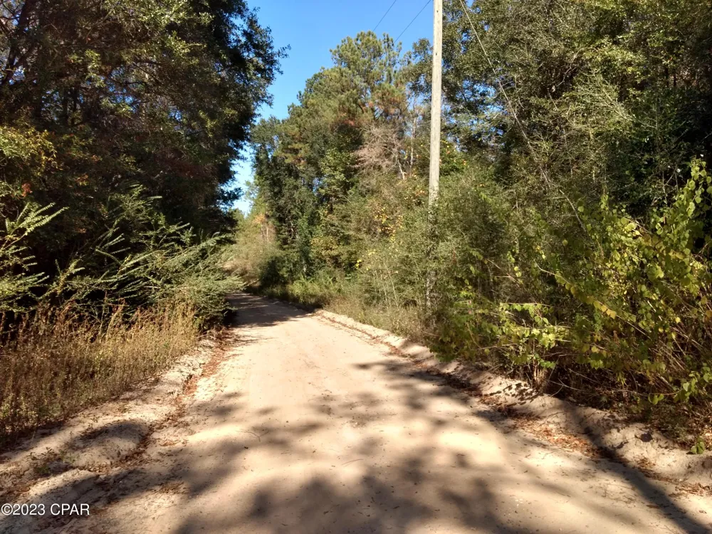 Little John Lane Bonifay, FL 32425