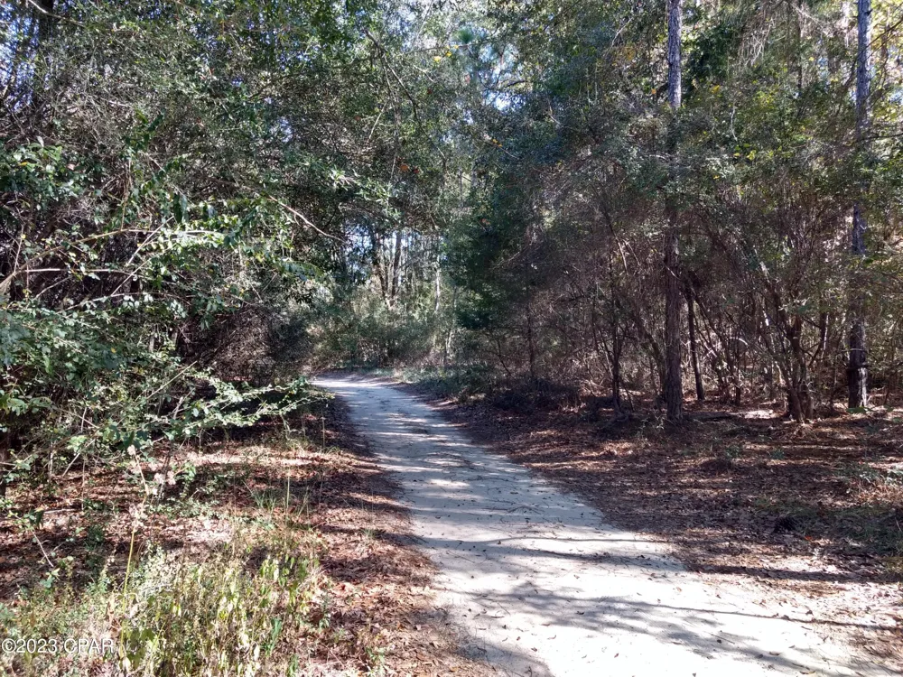 Little John Lane Bonifay, FL 32425