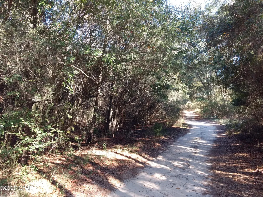 Little John Lane Bonifay, FL 32425