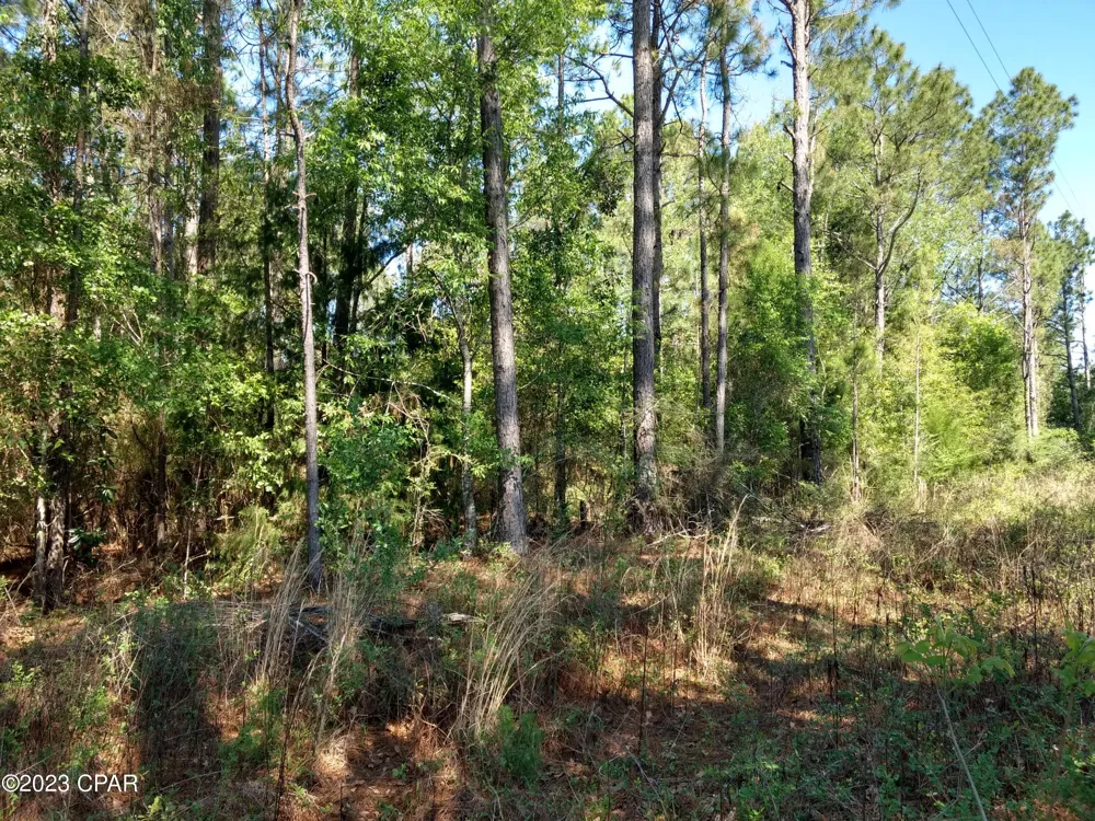 Little John Lane Bonifay, FL 32425