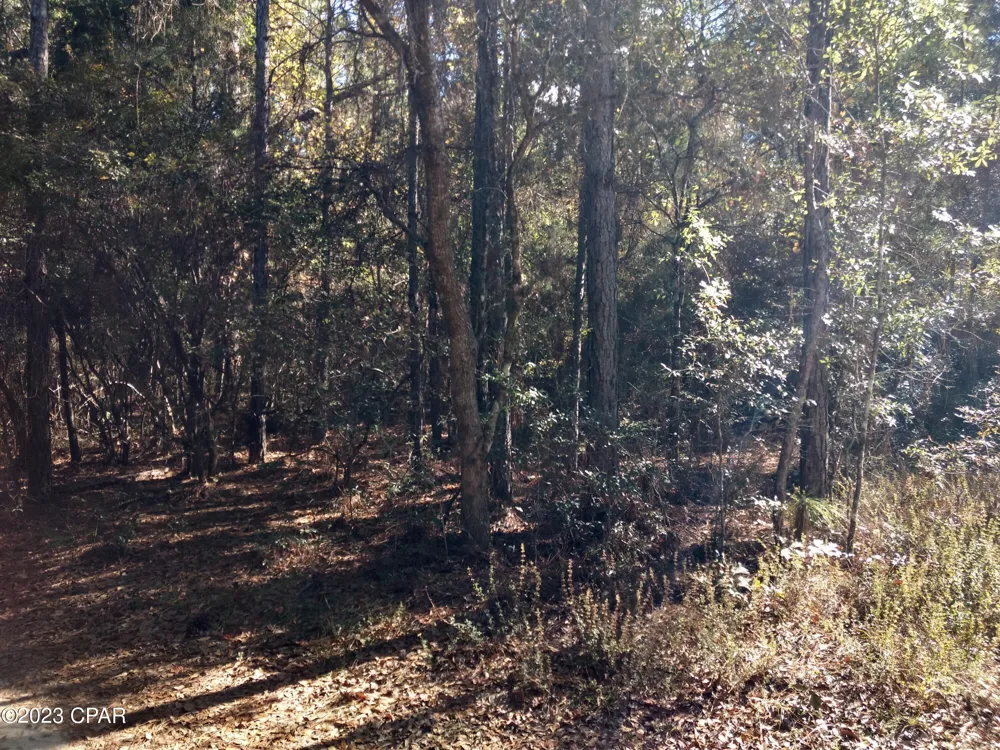 Little John Lane Bonifay, FL 32425