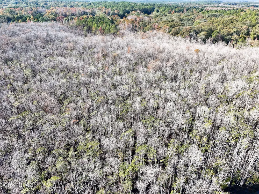 Malcolm Taylor Road Bonifay, FL 32425