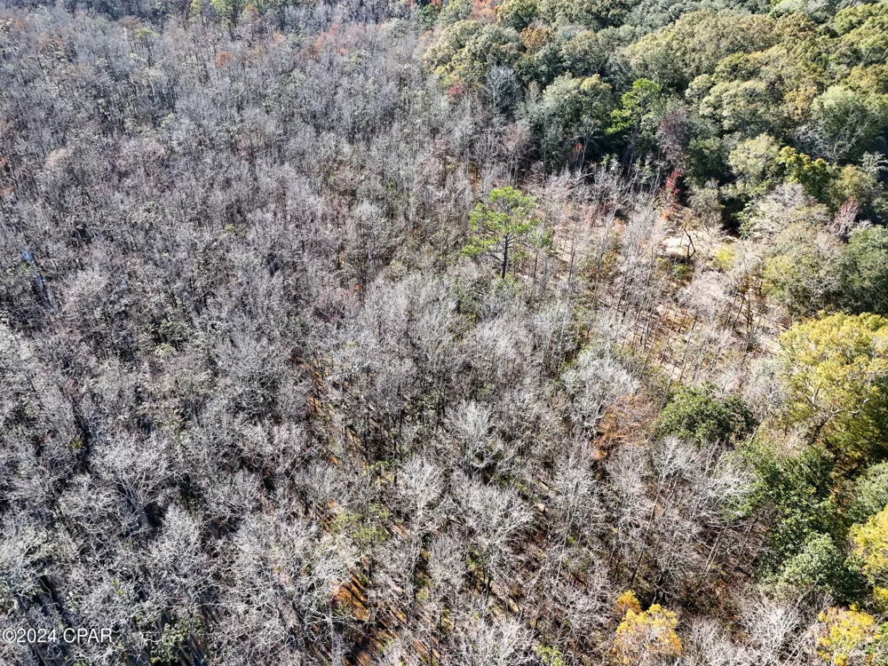 Malcolm Taylor Road Bonifay, FL 32425
