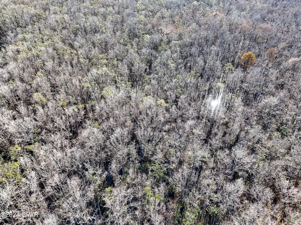 Malcolm Taylor Road Bonifay, FL 32425