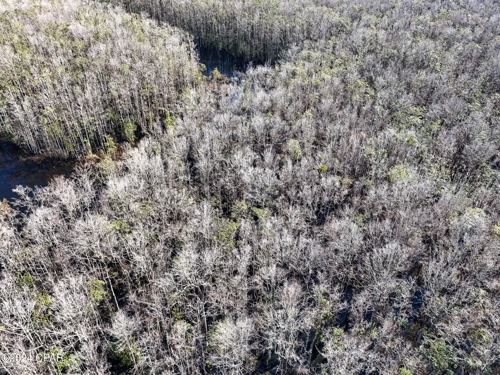 Malcolm Taylor Road Bonifay, FL 32425