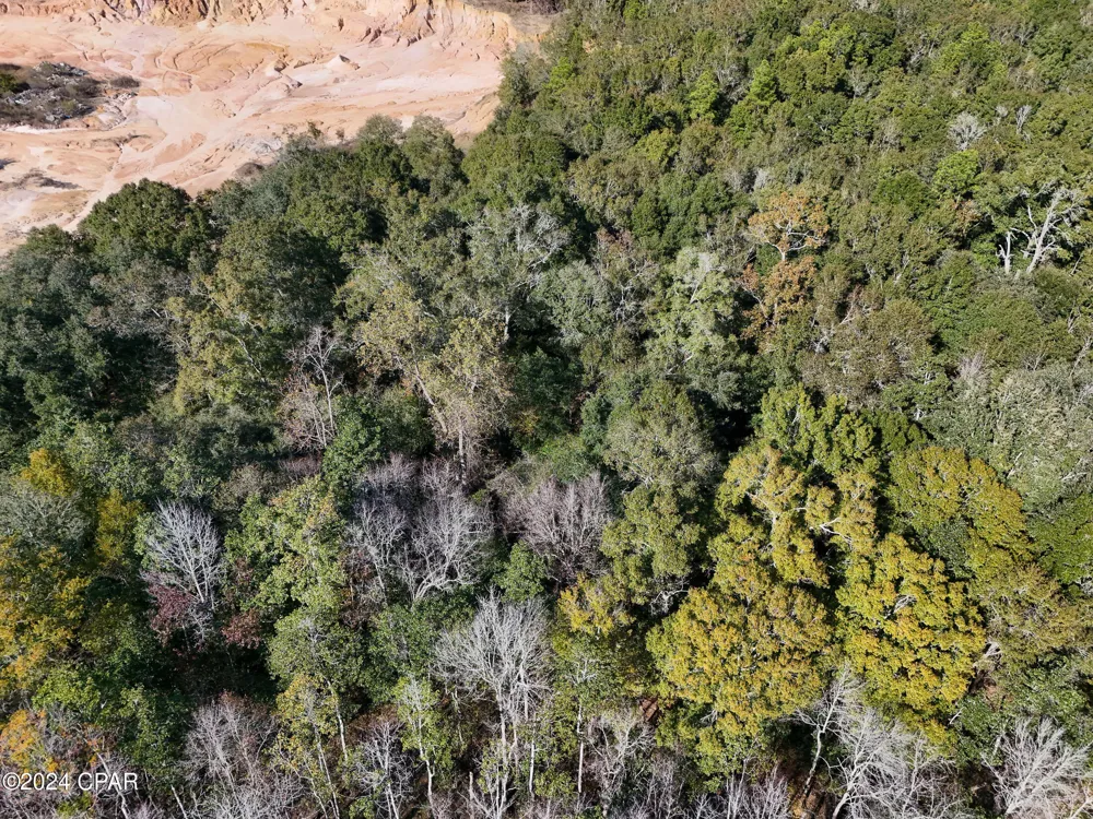 Malcolm Taylor Road Bonifay, FL 32425