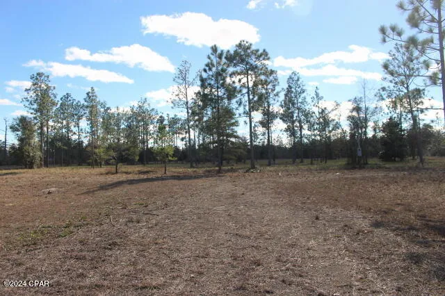 5015 NW County Road 274 Altha, FL 32421