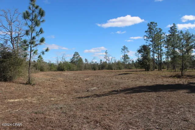 5015 NW County Road 274 Altha, FL 32421