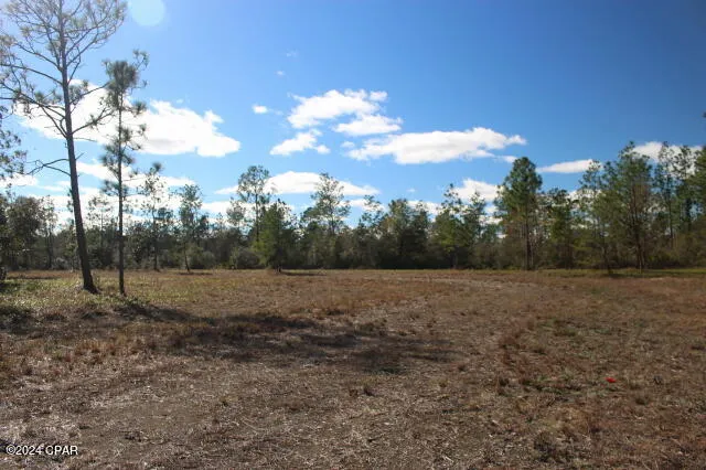 5015 NW County Road 274 Altha, FL 32421