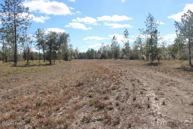 5015 NW County Road 274 Altha, FL 32421