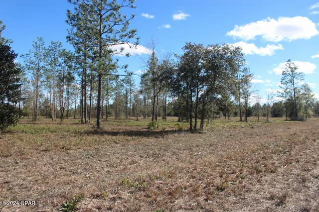 5015 NW County Road 274 Altha, FL 32421