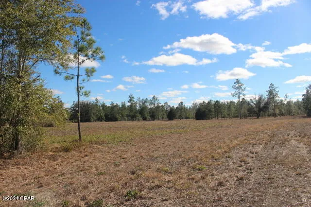 5015 NW County Road 274 Altha, FL 32421