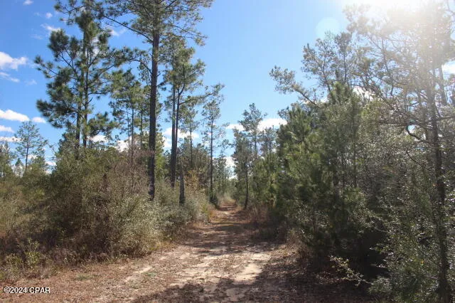5015 NW County Road 274 Altha, FL 32421