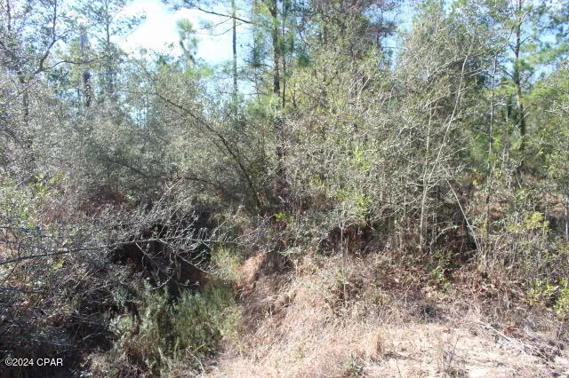 5015 NW County Road 274 Altha, FL 32421