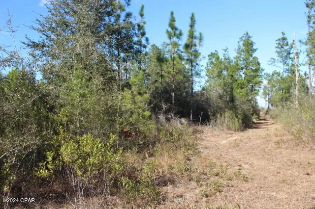 5015 NW County Road 274 Altha, FL 32421
